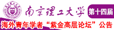 www.叉bb南京理工大学第十四届海外青年学者紫金论坛诚邀海内外英才！